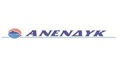 ANENDYK Maritime Logo image